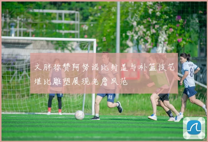 文胖称赞阿努诺比封盖与补篮技艺堪比雕塑展现老詹风范