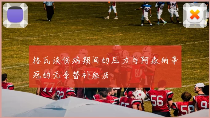 格瓦谈伤病期间的压力与阿森纳争冠的无奈替补经历